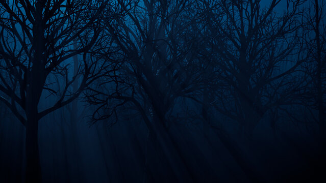 Haunted Halloween Woodland Scene at Night.