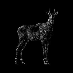 Nilgai hand drawing vector illustration isolated on black background