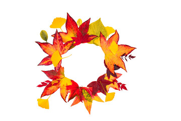 Autumn leaves frame. Fall leaf border, autumnal background. Autumn maple leaves isolated on white. Falling leaves natural background. Isolated object.