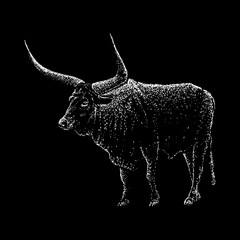 Ox hand drawing vector illustration isolated on black background
