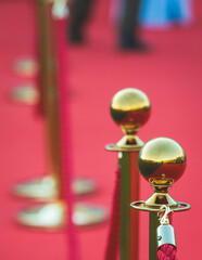Red carpet with ropes and golden barriers on a luxury party entrance, cinema premiere film festival...