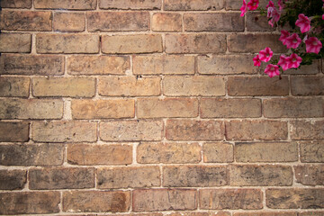 close up of a brick wall with flowers