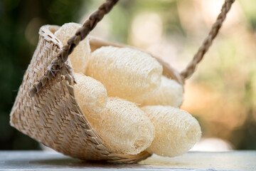 Loofahs and plumeria flower on nature background.