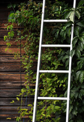 repair work of a wooden wall of country house
