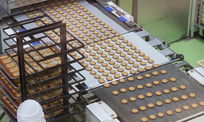 食品工場で働く人