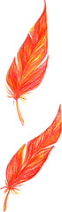 Red orange yellow bird feathers set isolated art