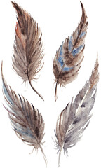 Watercolor brown gray grey feather set isolated art