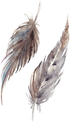 Watercolor brown gray grey feather pair set isolated art