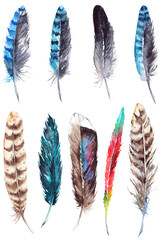 Watercolor colorful exotic bird feather set isolated