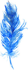 Watercolor single navy blue bird feather isolated art