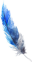 Watercolor single navy blue bird feather isolated art