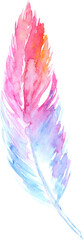 Watercolor pink purple blue bird rustic feather isolated art