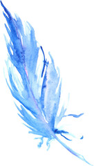 Watercolor blue cyan bird rustic feather isolated art