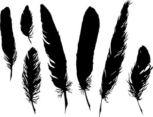 Silhouette black and white monochrome feather set isolated art