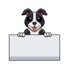Cute american staffordshire terrier dog cartoon holding blank sign