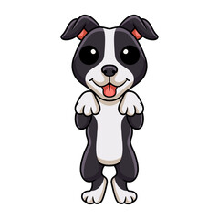 Obraz premium Cute american staffordshire terrier dog cartoon