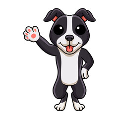 Cute american staffordshire terrier dog cartoon 