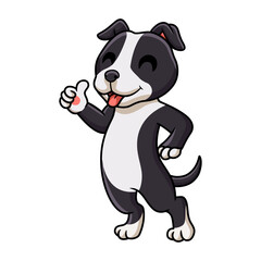 Cute american staffordshire terrier dog cartoon giving thumb up