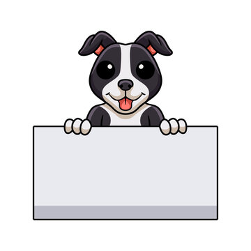 Cute american staffordshire terrier dog cartoon holding blank sign