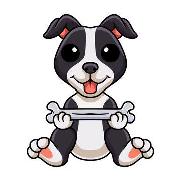 Cute american staffordshire terrier dog cartoon holding a bone