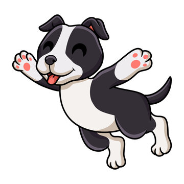 Cute american staffordshire terrier dog cartoon