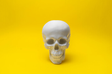 a  human skull. the halloween creative concept and happy holidays