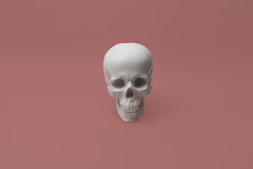 a  human skull. the halloween creative concept and happy holidays