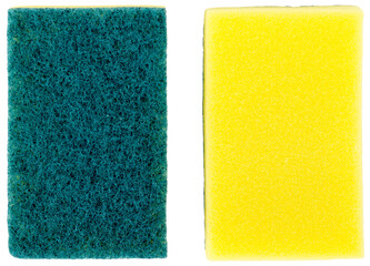 Fototapeta premium Sponge dish for decorative