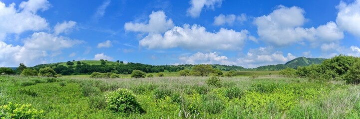 Fototapeta na wymiar 青空バックに見る夏の八島ヶ原湿原のパノラマ情景＠長野