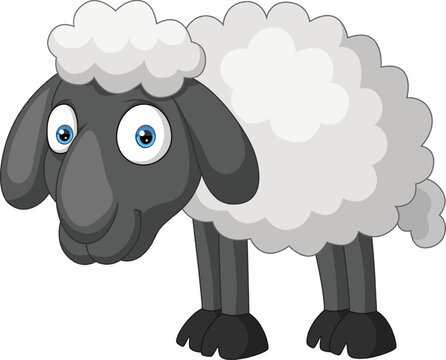 Cartoon sheep on white background