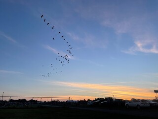 flying over the sky