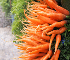 heap of bunch baby carrots in the market.