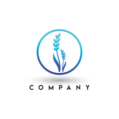 Agriculture wheat vector icon design wheat logo