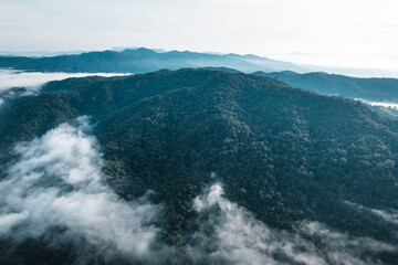 Fog in the mountains at sunrise. Morning fog in the mountains