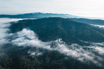 Fog in the mountains at sunrise. Morning fog in the mountains
