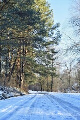 February in Kyiv.