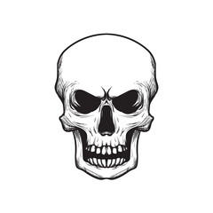 Creepy skull sketch asset for logo, T shirt, sticker, emblem, and more