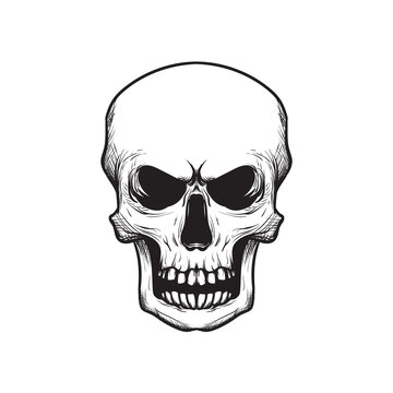 Creepy skull sketch asset for logo, T shirt, sticker, emblem, and more