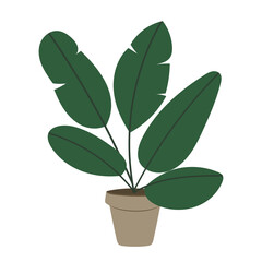 Plants  in indoor decorate the house  , isolated background ,  Flat cartoon flat style. illustration 