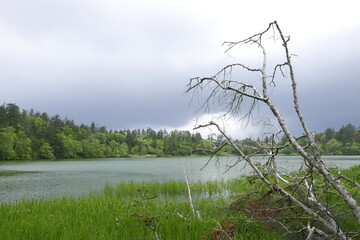 Himenuma swamp Rishiri island at Northern Hokkaido in Japan