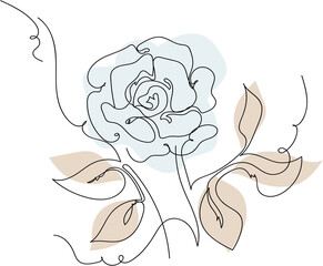 hand drawn illustration of rose