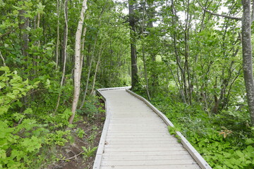 Nature and Gastronomy place Rishiri island at Northern Hokkaido in Japan