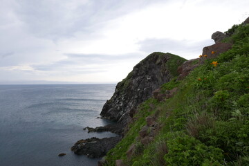 Obraz premium Nature and Gastronomy place Rishiri island at Northern Hokkaido in Japan