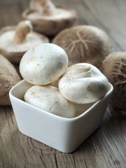 신선한 유기농 양송이버섯과 표고버섯