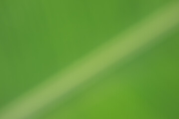 blur background green gradient for illustration