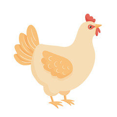 Cute cartoon chicken. Vector illustration isolated on white background. Farm animal hen
