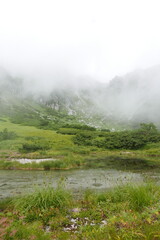 Senjojiki Curl is close to the ridgeline of the Central Alps, the bowl-shaped terrain created by glaciers is a treasure trove of alpine flora.