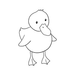 Cute outline duck. Hand drawn illustration isolated on white background. Funny Farm animal for coloring book