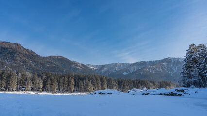 The valley is covered with pure white snow. Coniferous forest and mountain range against the blue sky. Copy space. Altai