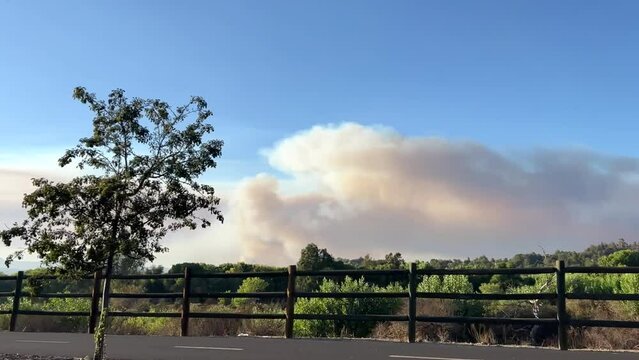 Route Fire in Castaic, cloud of smoke above Santa Clarita, low angle view wildfire